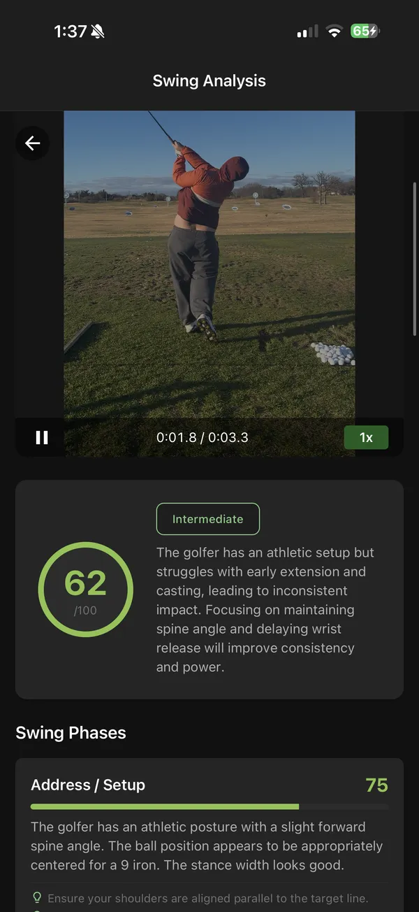 AI Swing Analysis Score